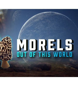 Morels: Out of this World Steam Key GLOBAL
